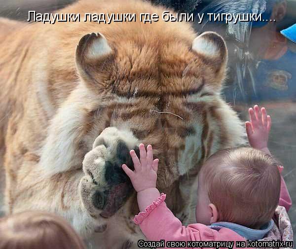 Котоматрица: Ладушки ладушки где были у тигрушки....
