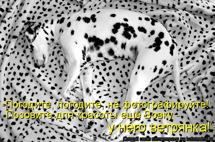 Котоматрица: Позовите для красоты ещё Вовку - -Погодите, погодите, не фотографируйте! у него ветрянка!