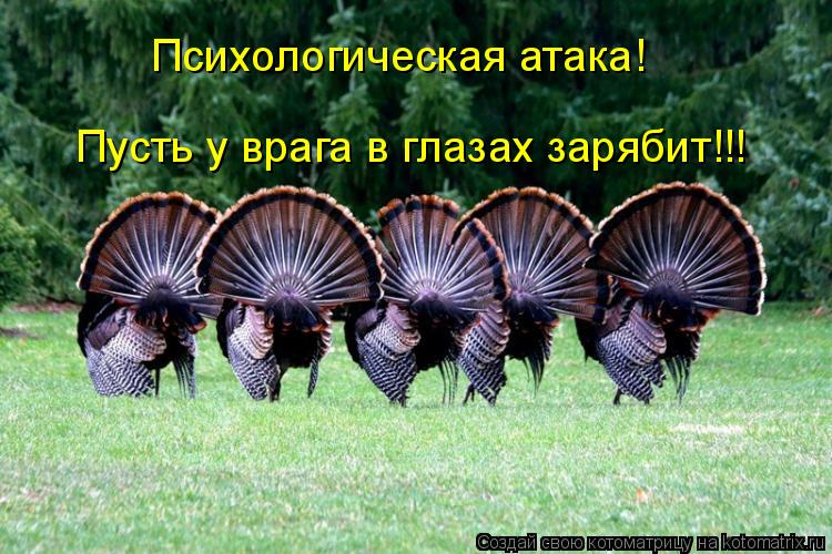 Котоматрица: Психологическая атака! Пусть у врага в глазах зарябит!!!