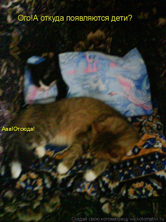 Котоматрица: Ого!А откуда появляются дети? Ааа!Отсюда!