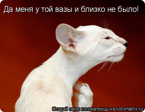 Котоматрица: Да меня у той вазы и близко не было!