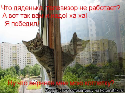 Котоматрица: Что дяденька, телевизор не работает? А вот так вам и надо! ха ха! Я победил!  Ну что вернёте мне мою котлетку?