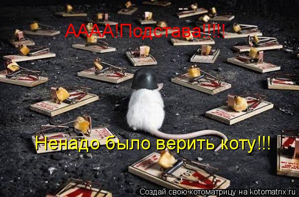 Котоматрица: АААА!Подстава!!!!! Ненадо было верить коту!!!