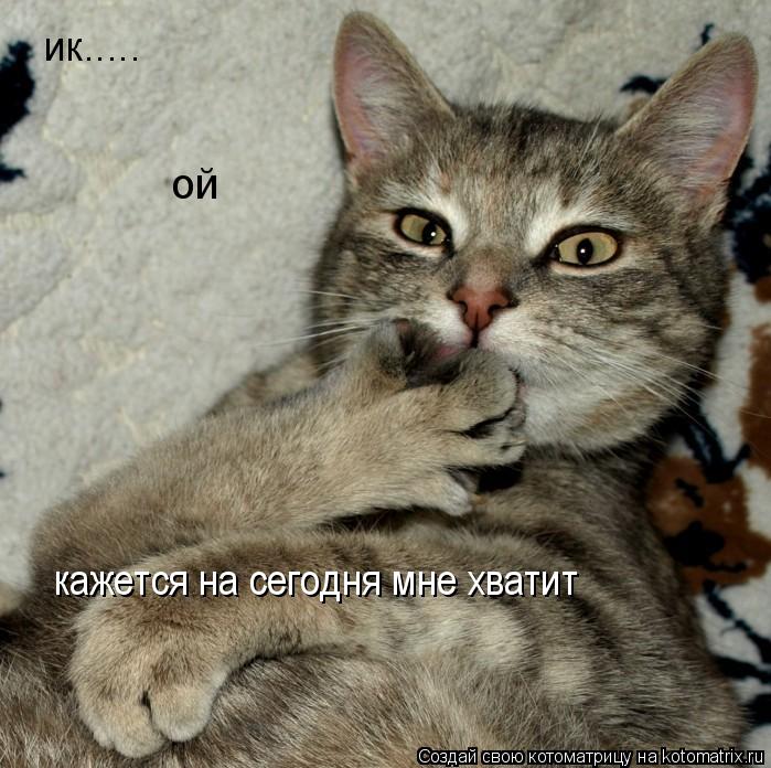 Котоматрица: ик.....  кажется на сегодня мне хватит ой