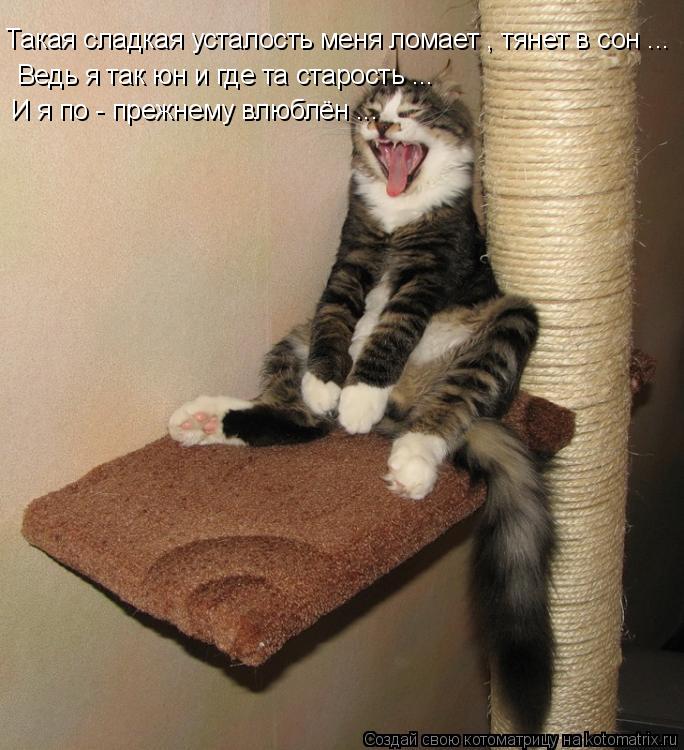 Котоматрица: Такая сладкая усталость меня ломает , тянет в сон ... Ведь я так юн и где та старость ... И я по - прежнему влюблён ...