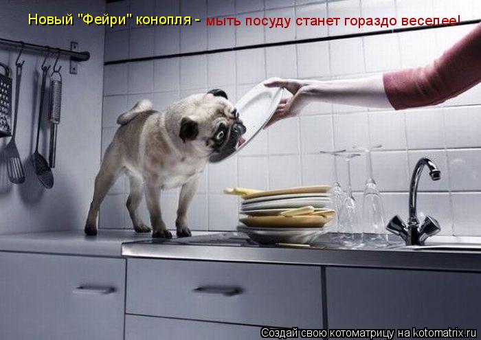 Котоматрица: Новый "Фейри" конопля -  мыть посуду станет гораздо веселее!