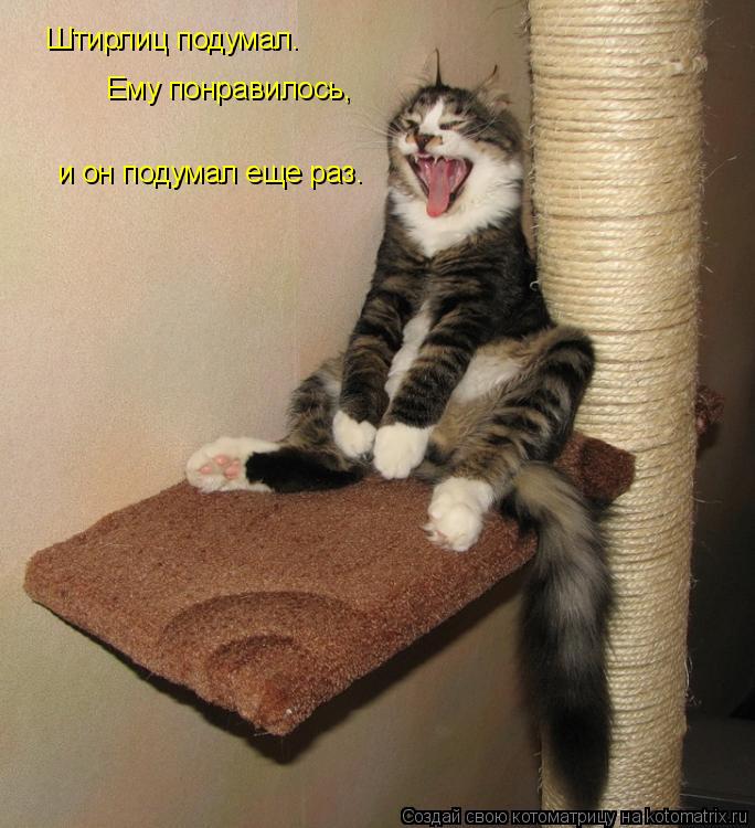 Котоматрица: Штирлиц подумал. Ему понравилось, и он подумал еще раз.