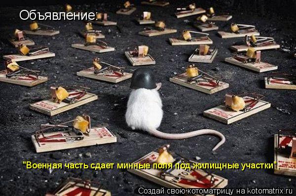 Котоматрица: Объявление: "Военная часть сдает минные поля под жилищные участки".