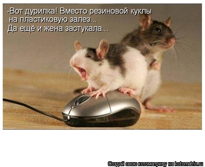 Котоматрица: -Вот дурилка! Вместо резиновой куклы  на пластиковую залез... Да ещё и жена застукала...