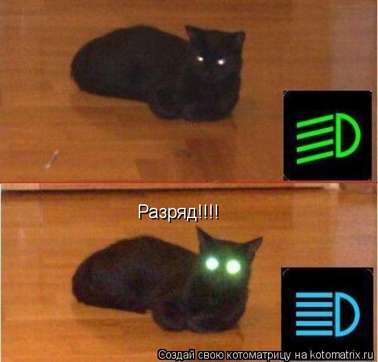 Разряд!!!!... Котоматрица: Разряд!!!!