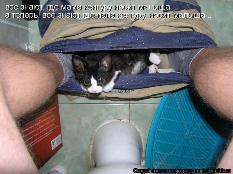 все знают, где мама кенгуру носит малыша. а теперь, все знают где папа кенгуру, носит малыша...... Котоматрица: все знают, где мама кенгуру носит малыша. а теперь, все знают где папа кенгуру, носит малыша...