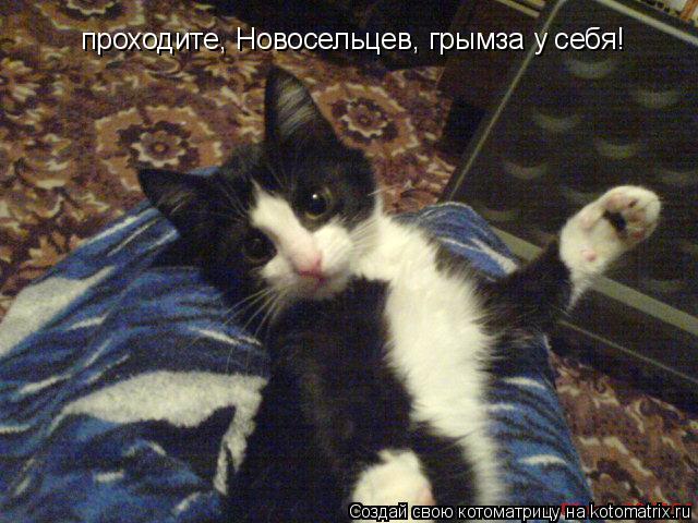 проходите, Новосельцев, грымза у себя!... Котоматрица: проходите, Новосельцев, грымза у себя!