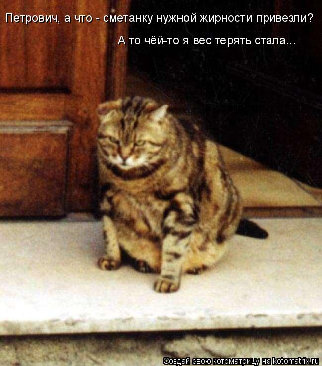 Котоматрица: Петрович, а что - сметанку нужной жирности привезли? А то чёй-то я вес терять стала...