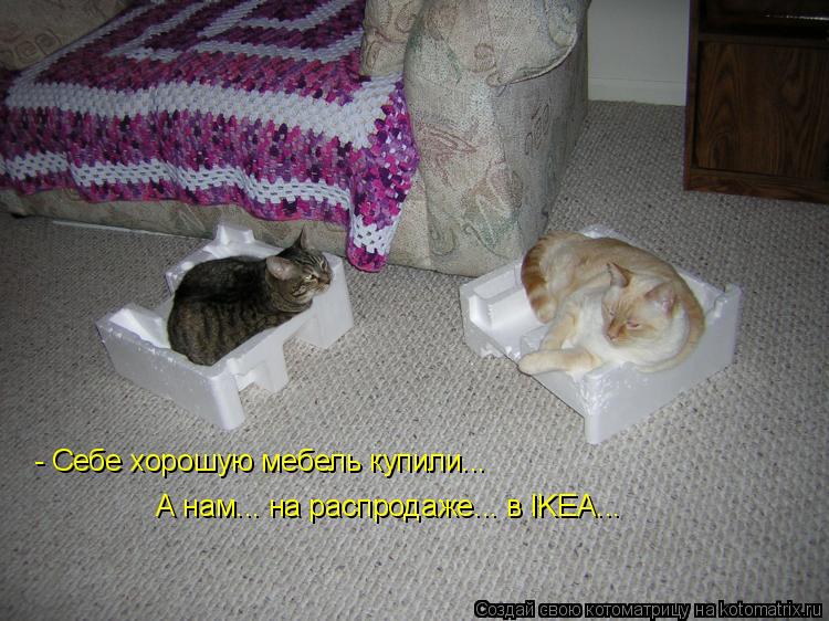 - Себе хорошую мебель купили... А нам... на распродаже... в IKEA...... Котоматрица: - Себе хорошую мебель купили... А нам... на распродаже... в IKEA...