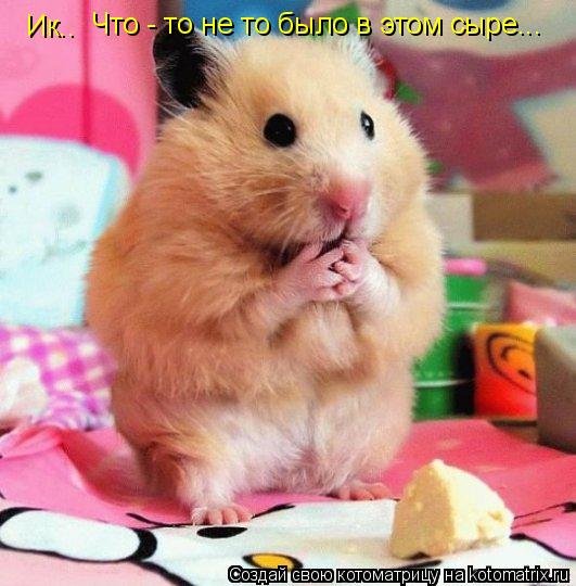 Ик.. Что - то не то было в этом сыре...... Котоматрица: Ик.. Что - то не то было в этом сыре...