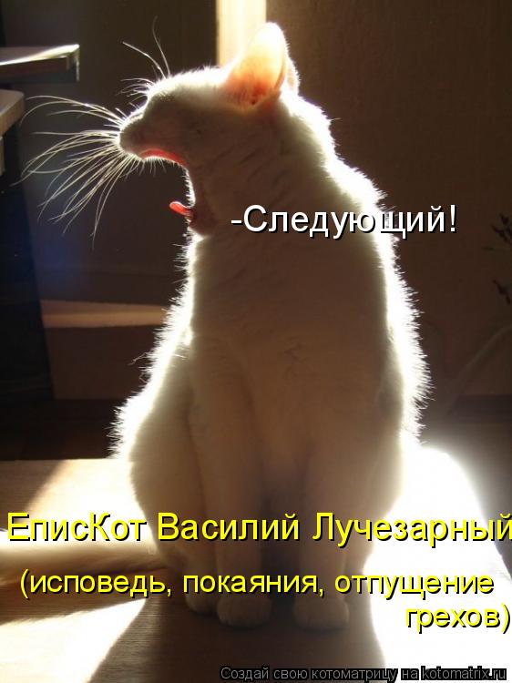 Котоматрица: -Следующий! ЕписКот Василий Лучезарный (исповедь, покаяния, отпущение грехов)