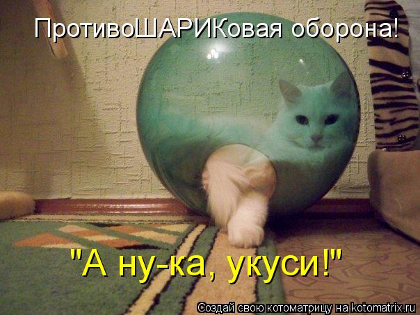 Котоматрица: ПротивоШАРИКовая оборона! "А ну-ка, укуси!"