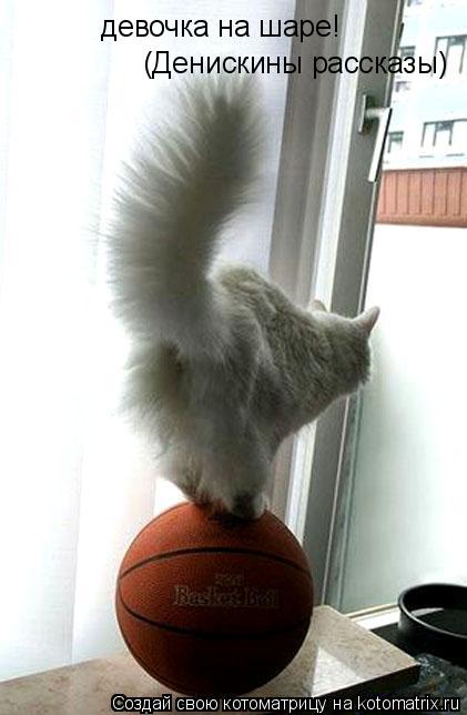 Котоматрица: девочка на шаре! (Денискины рассказы)