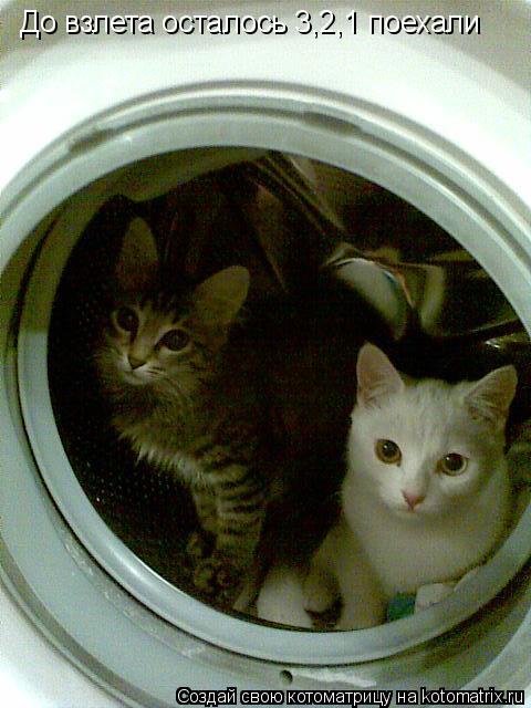 Котоматрица: До взлета осталось 3,2,1 поехали