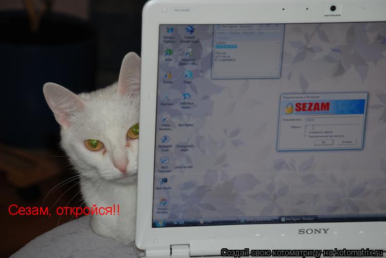 Котоматрица: Сезам, откройся!!