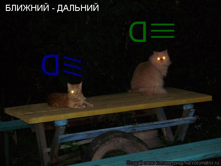 Котоматрица: D D /// ||| БЛИЖНИЙ - ДАЛЬНИЙ
