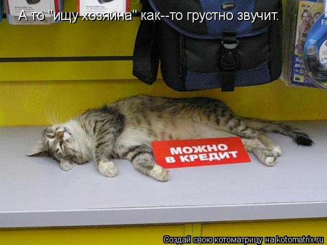 Котоматрица: А то "ищу хозяина" как--то грустно звучит.