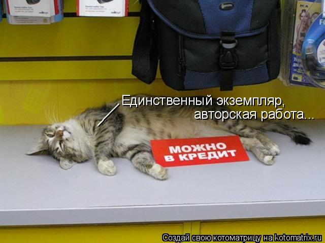 Котоматрица: Единственный экземпляр, авторская работа... ____