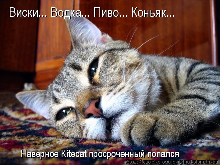 Виски... Водка... Пиво... Коньяк... Наверное Kitecat просроченный попался... Котоматрица: Виски... Водка... Пиво... Коньяк... Наверное Kitecat просроченный попался