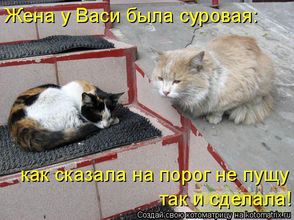 Жена у Васи была суровая: как сказала на порог не пущу так и сделала!... Котоматрица: Жена у Васи была суровая: как сказала на порог не пущу так и сделала!