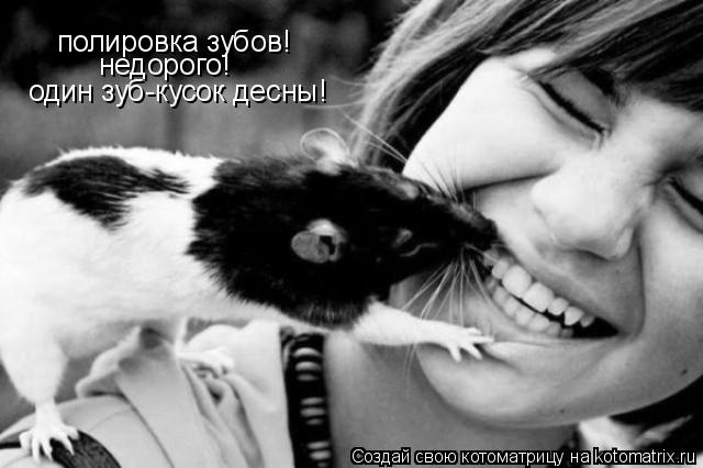 полировка зубов! недорого! один зуб-кусок десны!... Котоматрица: полировка зубов! недорого! один зуб-кусок десны!