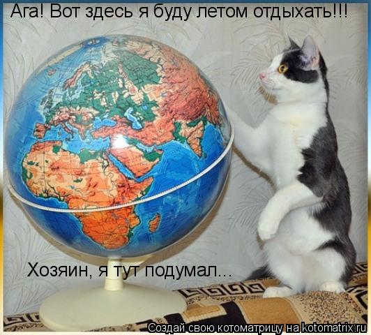 Ага! Вот здесь я буду летом отдыхать!!! Хозяин, я тут подумал...... Котоматрица: Ага! Вот здесь я буду летом отдыхать!!! Хозяин, я тут подумал...