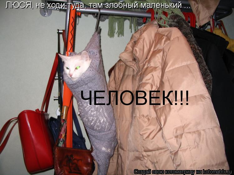 Котоматрица: ЛЮСЯ, не ходи туда, там злобный маленький ... ЧЕЛОВЕК!!!