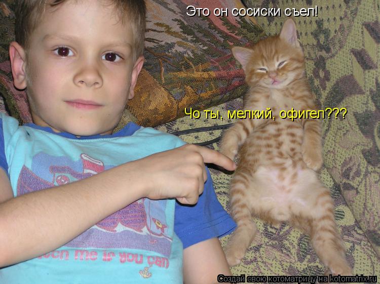 Котоматрица: Это он сосиски съел! Чо ты, мелкий, офигел???