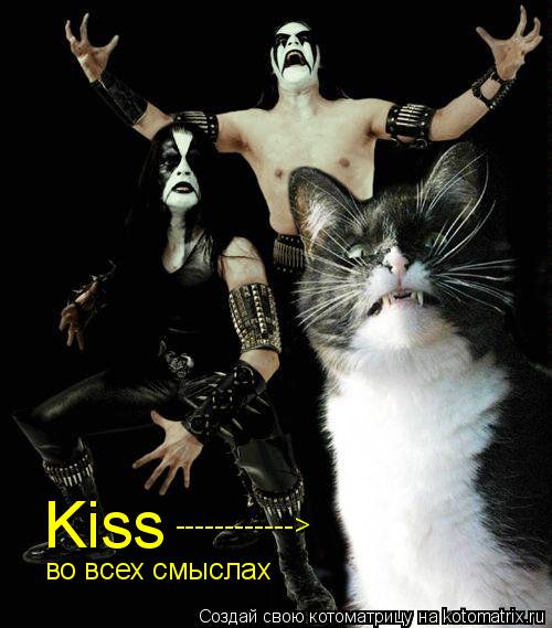 Котоматрица: Kiss во всех смыслах ------------>