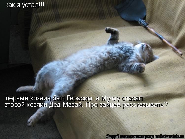 Котоматрица: первый хозяин был Герасим. я Му-му спасал. второй хозяин Дед Мазай. Про зайцев рассказывать? как я устал!!!