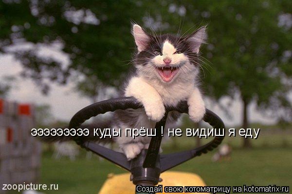 Котоматрица: эээээээээ куды прёш ! не видиш я еду