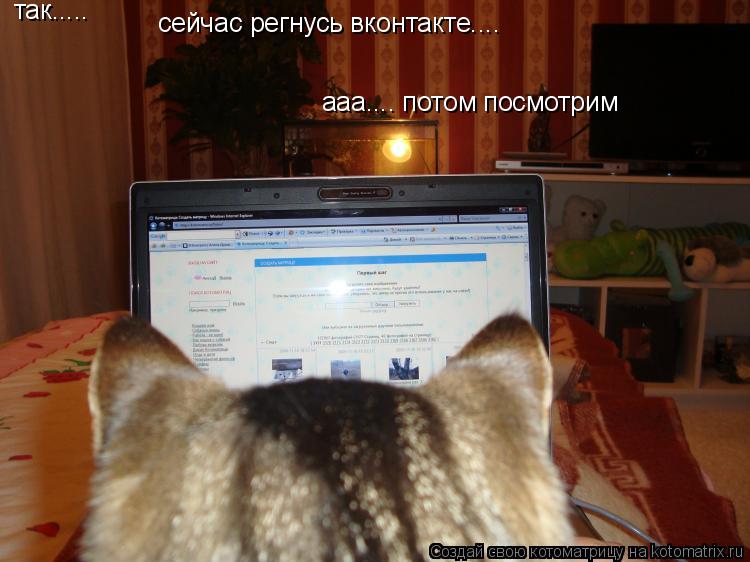 Котоматрица: так.....  сейчас регнусь вконтакте.... ааа.... потом посмотрим