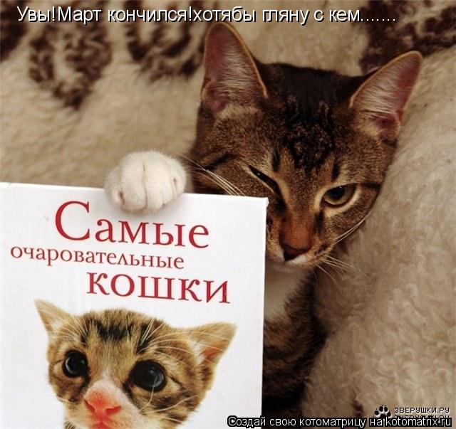 Увы!Март кончился!хотябы гляну с кем.......... Котоматрица: Увы!Март кончился!хотябы гляну с кем.......
