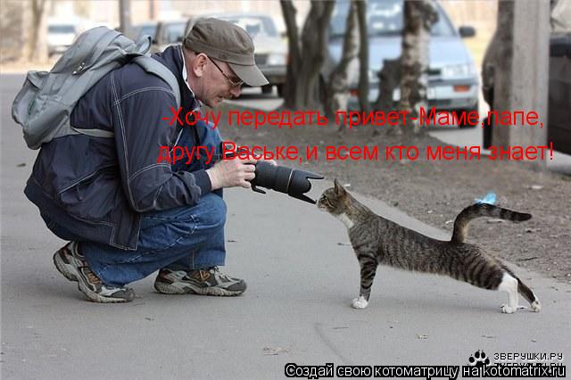Котоматрица: -Хочу передать привет-Маме,папе,  другу Ваське,и всем кто меня знает!