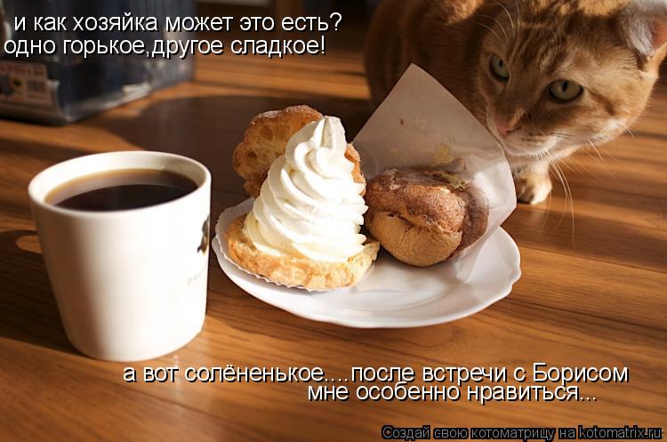 и как хозяйка может это есть? одно горькое,другое сладкое! а вот солёненькое....после встречи с Борис... Котоматрица: и как хозяйка может это есть? одно горькое,другое сладкое! а вот солёненькое....после встречи с Борисом мне особенно нравиться...