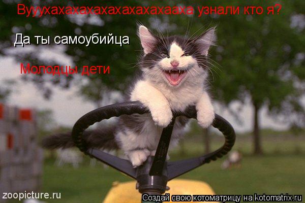 Вууухахахахахахахахахааха узнали кто я? Да ты самоубийца Молодцы дети... Котоматрица: Вууухахахахахахахахахааха узнали кто я? Да ты самоубийца Молодцы дети
