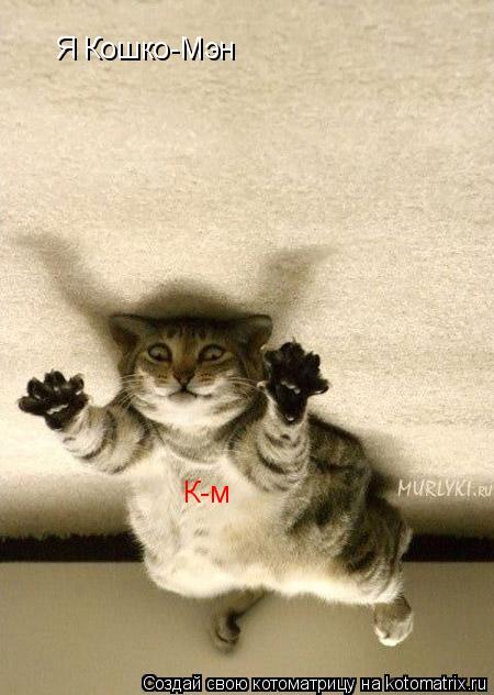 Я Кошко-Мэн К-м... Котоматрица: Я Кошко-Мэн К-м