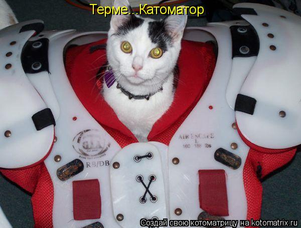 Терме...Катоматор... Котоматрица: Терме...Катоматор