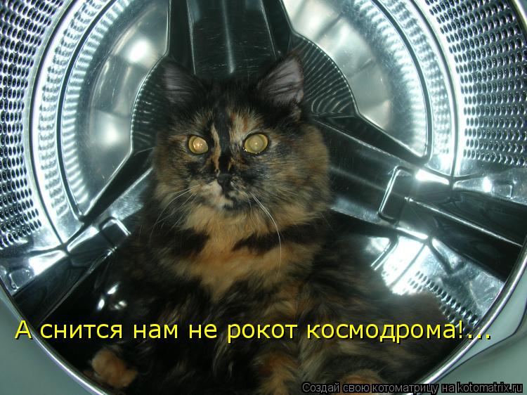 Котоматрица: А снится нам не рокот космодрома!...