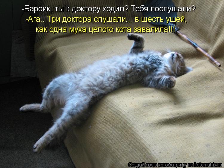Котоматрица: -Барсик, ты к доктору ходил? Тебя послушали? -Ага.. Три доктора слушали... в шесть ушей,  как одна муха целого кота завалила!!!