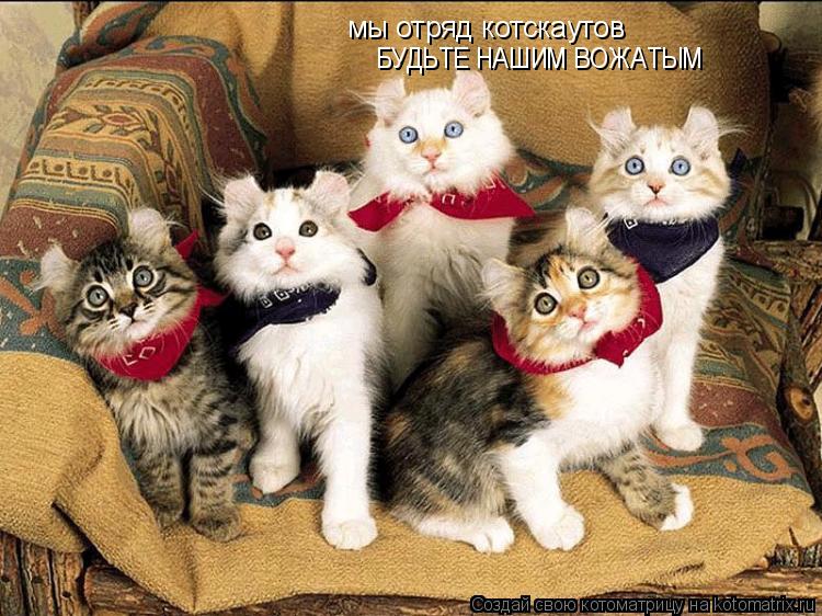 мы отряд котскаутов БУДЬТЕ НАШИМ ВОЖАТЫМ... Котоматрица: мы отряд котскаутов БУДЬТЕ НАШИМ ВОЖАТЫМ
