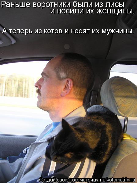 Раньше воротники были из лисы и носили их женщины. А теперь из котов и носят их мужчины.... Котоматрица: Раньше воротники были из лисы и носили их женщины. А теперь из котов и носят их мужчины.