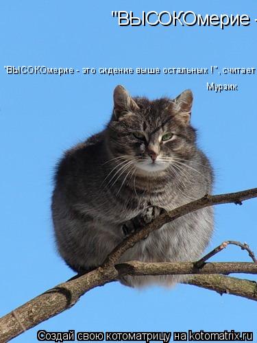 "ВЫСОКОмерие - это сидение выше остальных !", считает мурзик Мурзик "ВЫСОКОмерие - это сидение выше о... Котоматрица: "ВЫСОКОмерие - это сидение выше остальных !", считает мурзик Мурзик "ВЫСОКОмерие - это сидение выше остальных !", считает мурзик