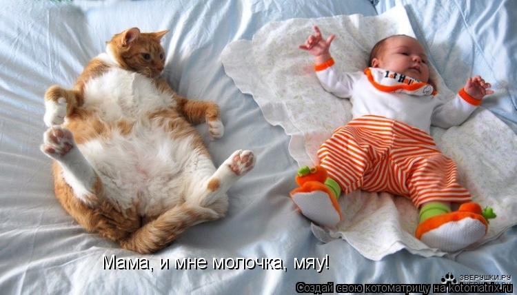 Мама, и мне молочка, мяу!... Котоматрица: Мама, и мне молочка, мяу!