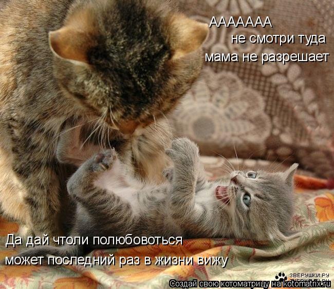 ААААААА не смотри туда мама не разрешает Да дай чтоли полюбовоться может последний раз в жизни вижу... Котоматрица: ААААААА не смотри туда мама не разрешает Да дай чтоли полюбовоться может последний раз в жизни вижу